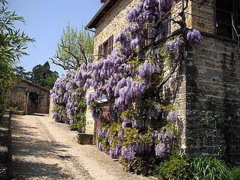 Contact Hotels Le Savigny & Spa Blacé Esterno foto